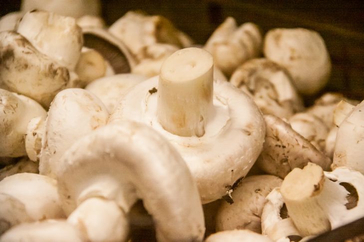 5 produse care nu pot fi spălate înainte de gătit. Vei fi surprins, dar este periculos ciuperci