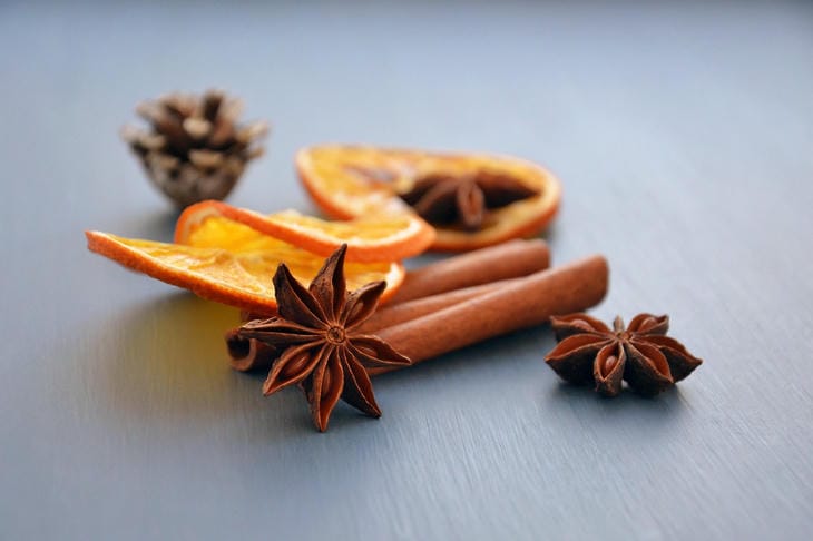 Cum se face un parfum pentru casă: scorțișoară, coajă de portocală și cuișoare în apă Carnație