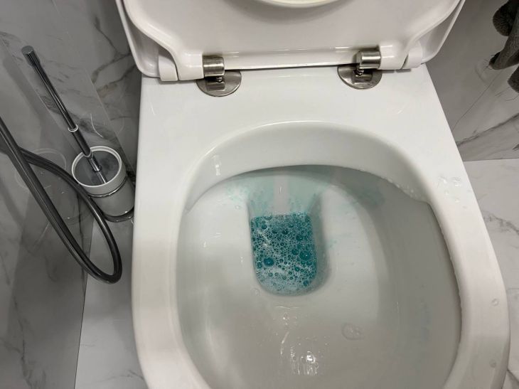 Acest instrument vă va salva toaleta de la dungi galbene: toată lumea o are toaletă