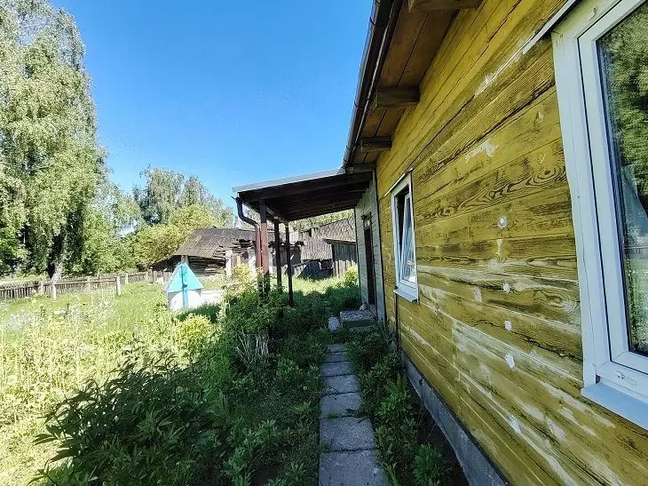 Pinul nu este o opțiune pentru casa ta. Acest copac alege totul: nu putrezește, nu se teme de umezeală, va dura secole casă