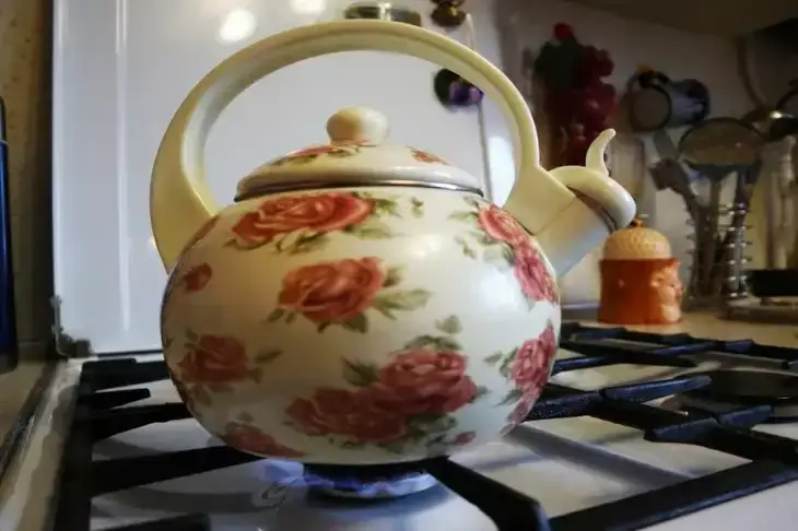 Nu mai mult la scară: această pulbere ieftină va returna strălucirea ceainicului pentru 1 fierbere Fierbător