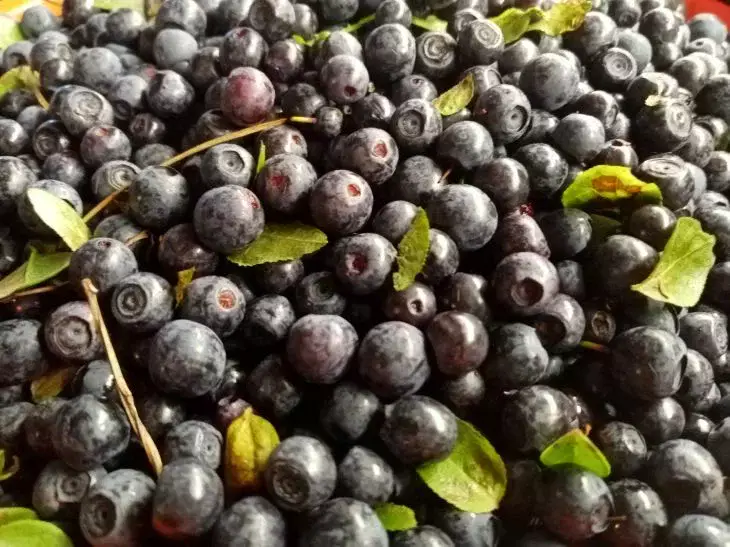 Nu tripli urmele căpșunilor va deveni nerezonabil: cum să îndepărtați petele din fructe de pădure Coacăze