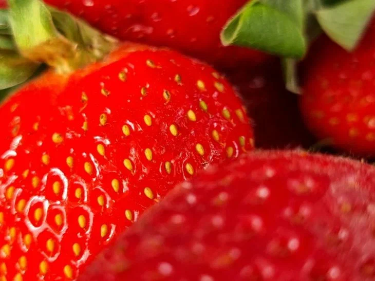Vrei un secret? Căpșunile vor fi păstrate jumătate de lună și nu vor putrezi din cauza acestui truc simplu Căpșună
