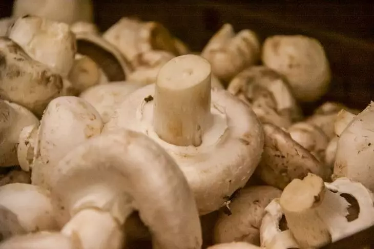 Biologul a spus dacă este necesar să spălați și să curățați campignonii înainte de a găti Champignons