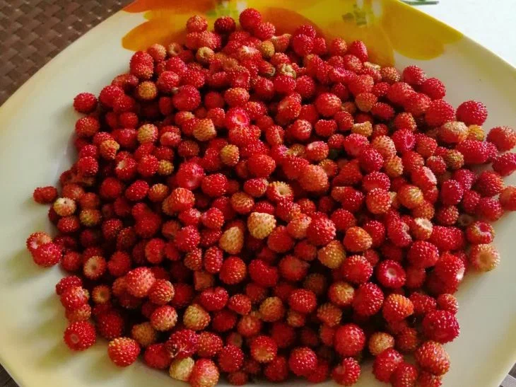 Adăugați acest lucru la șaibă - și toate petele vor dispărea: cum să îndepărtați pentru totdeauna urmele din fructe de pădure de la zăpadă - lucruri albe Fructe de pădure