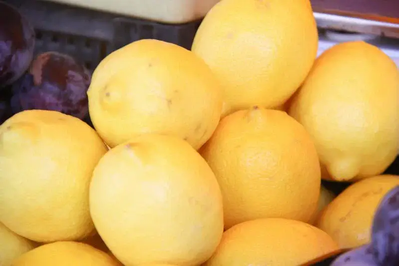 Lămâi