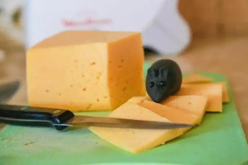Brânză